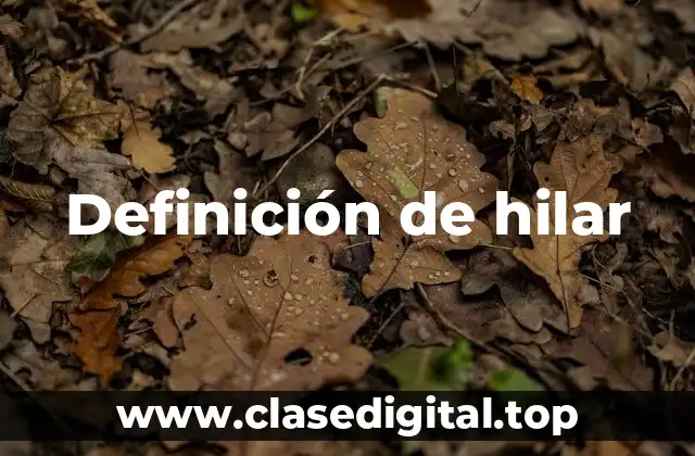 Definición de hilar