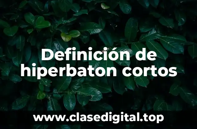 Definición de hiperbaton cortos