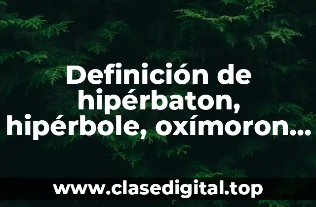 Definición de hipérbaton, hipérbole, oxímoron y paradoja en Prezi