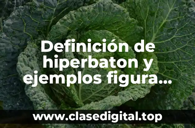 Definición de hiperbaton y ejemplos figura literaria