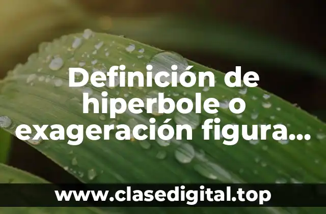 Definición de hiperbole o exageración figura literaria