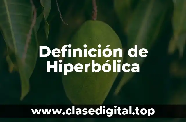 Definición de Hiperbólica