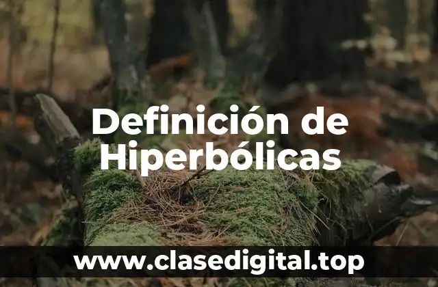 Definición de Hiperbólicas