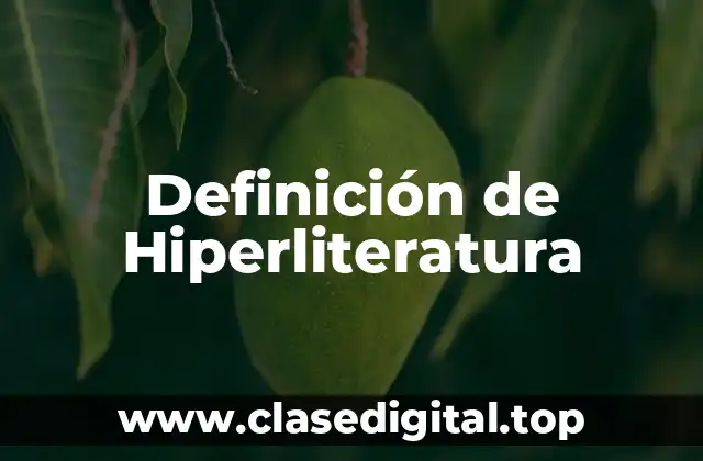 Definición de Hiperliteratura