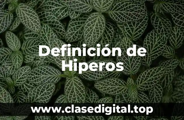 Definición de Hiperos