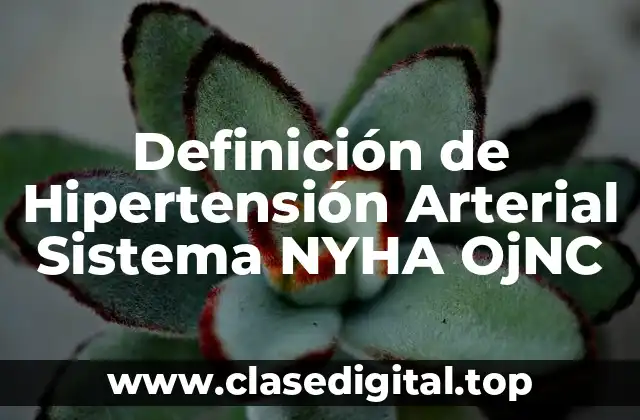 Definición técnica de Hipertensión Arterial Sistema NYHA OjNC-VIII