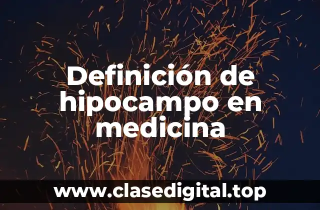 Definición de hipocampo en medicina