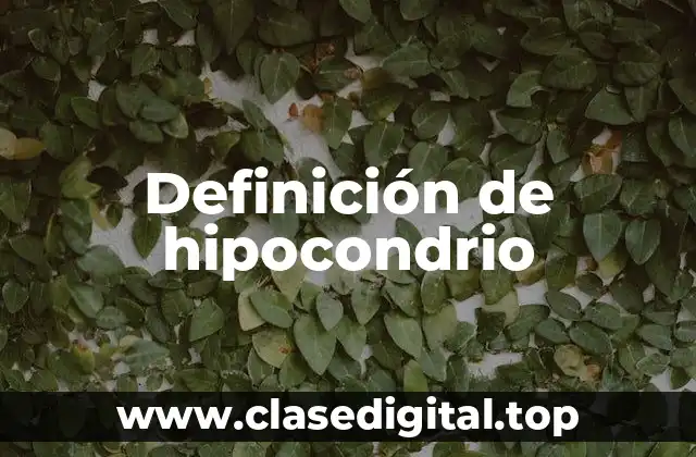 Definición de hipocondrio