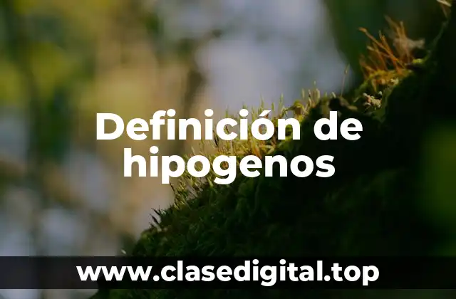 Definición de hipogenos