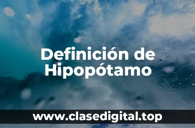 Definición de Hipopótamo