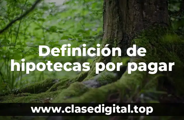 Definición técnica de hipoteca por pagar