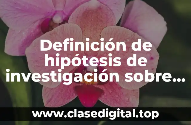 Definición de hipótesis de investigación sobre derechos y obligaciones