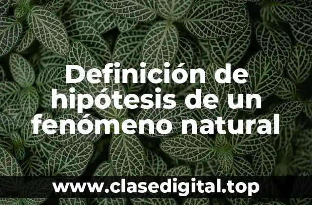 Definición de hipótesis de un fenómeno natural