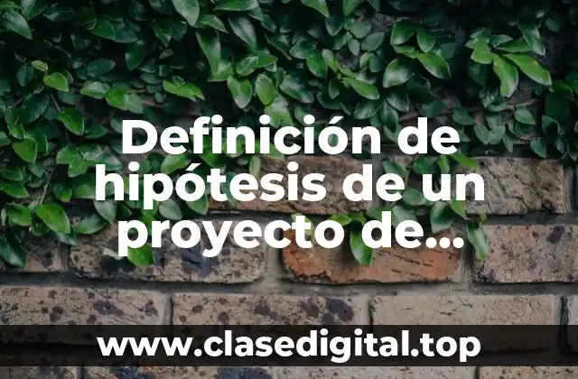 Definición de hipótesis de un proyecto de software