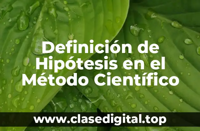 Definición Técnica de Hipótesis