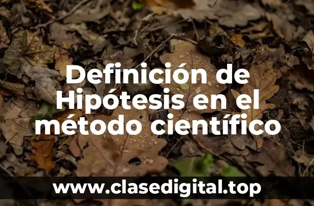Definición técnica de hipótesis