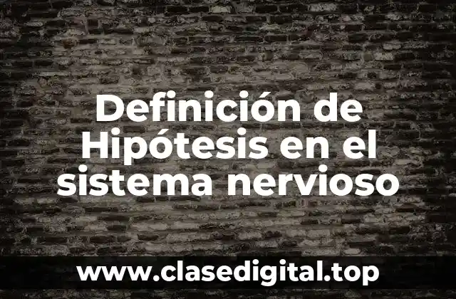 Definición de Hipótesis en el sistema nervioso