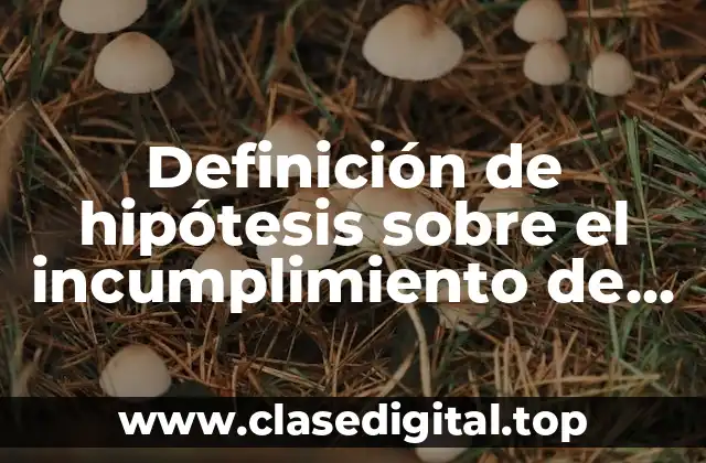 Definición de hipótesis sobre el incumplimiento de contrato