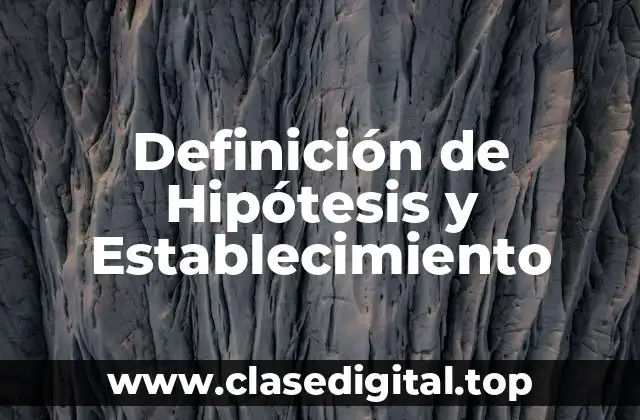 Definición de Hipótesis y Establecimiento