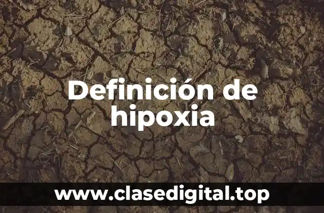 Definición de hipoxia