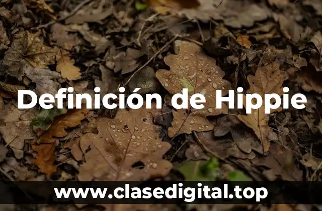 Definición de Hippie