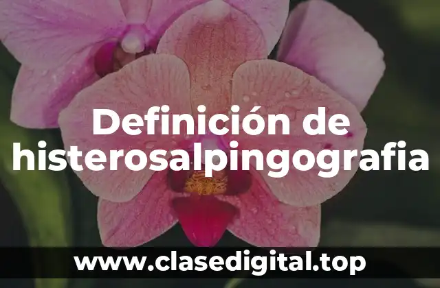 Definición técnica de histerosalpingografia