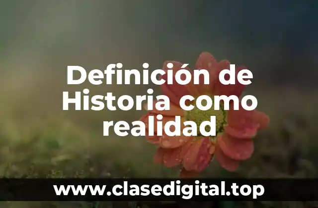 Definición de Historia como realidad