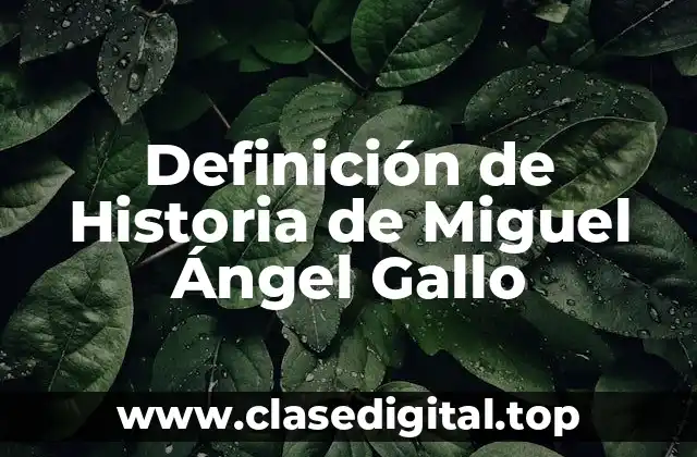 Definición de Historia de Miguel Ángel Gallo