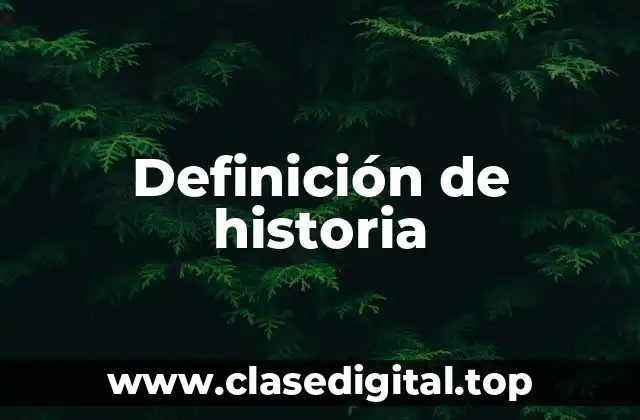 Definición técnica de historia