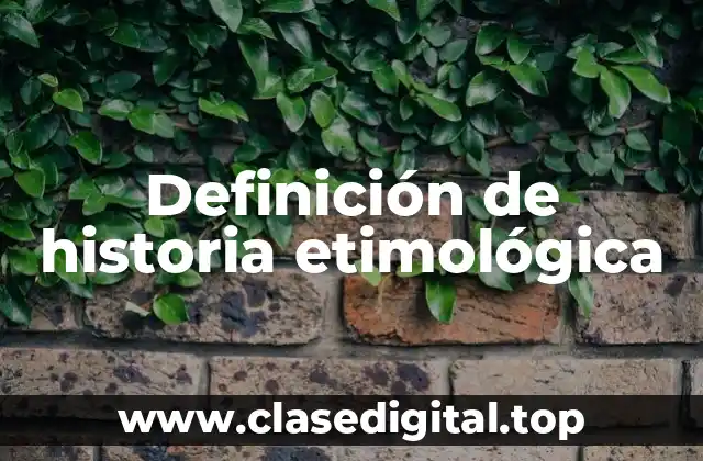 Definición técnica de historia etimológica