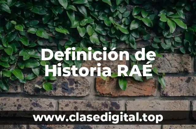 Definición de Historia RAÉ