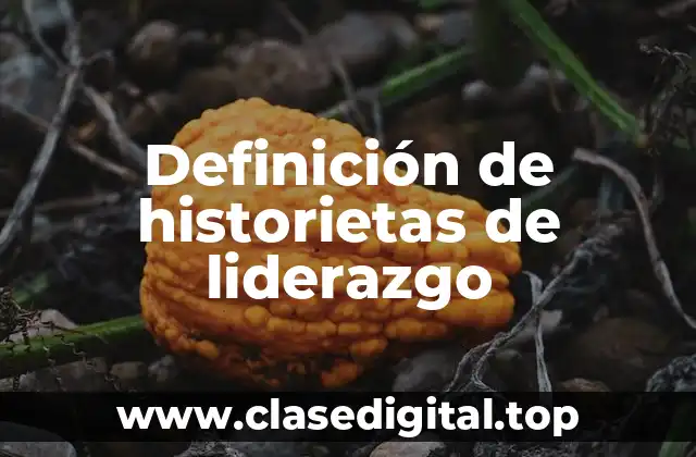 Definición de historietas de liderazgo
