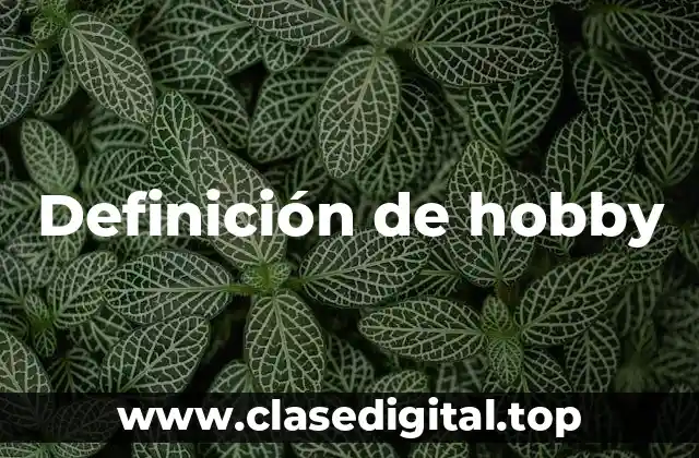 Definición de hobby