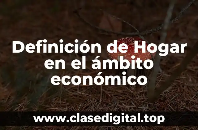 Definición de Hogar en el ámbito económico