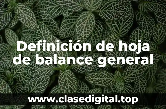 Definición de hoja de balance general