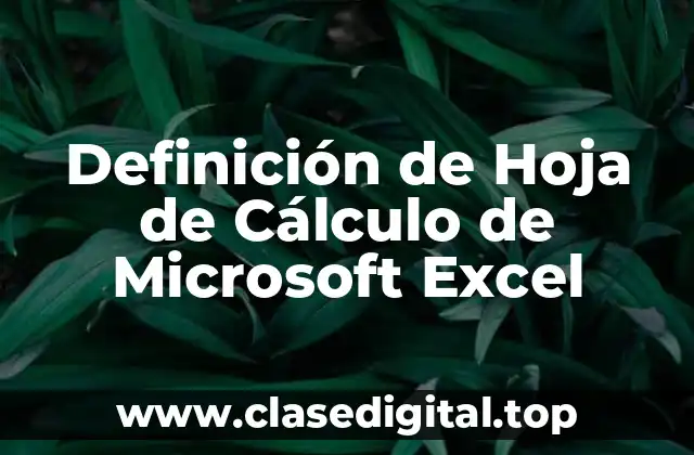Definición de Hoja de Cálculo de Microsoft Excel
