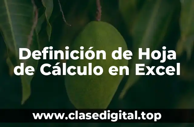 Definición de Hoja de Cálculo en Excel