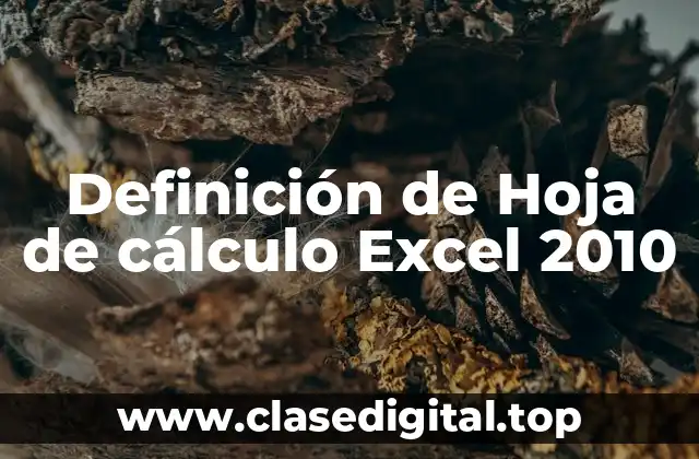 Definición de Hoja de cálculo Excel 2010