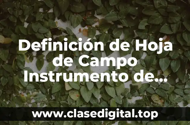 Definición de Hoja de Campo Instrumento de Evaluación