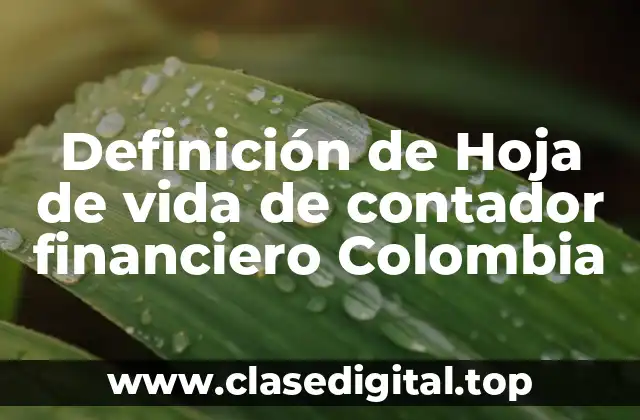 Definición de Hoja de vida de contador financiero Colombia