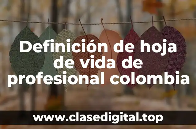 Ejemplos de hoja de vida de profesional colombia