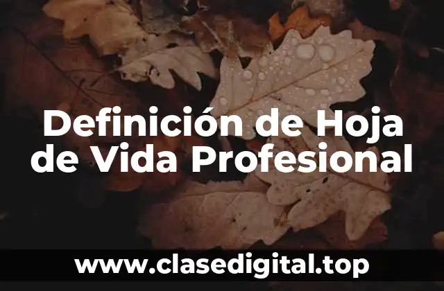 Ejemplos de Hoja de Vida Profesional