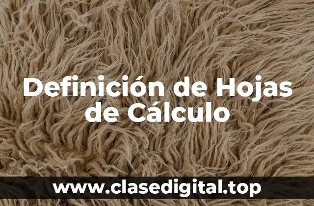 Definición de Hojas de Cálculo