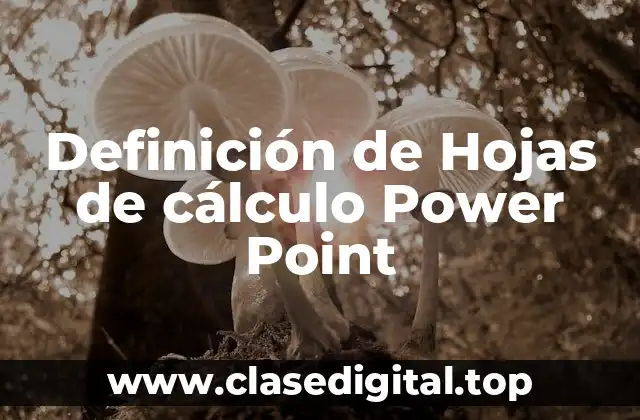 Definición de Hojas de cálculo Power Point