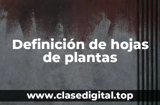 Definición de hojas de plantas