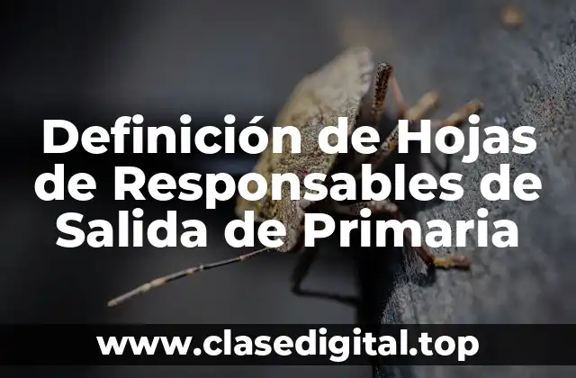 Definición de Hojas de Responsables de Salida de Primaria