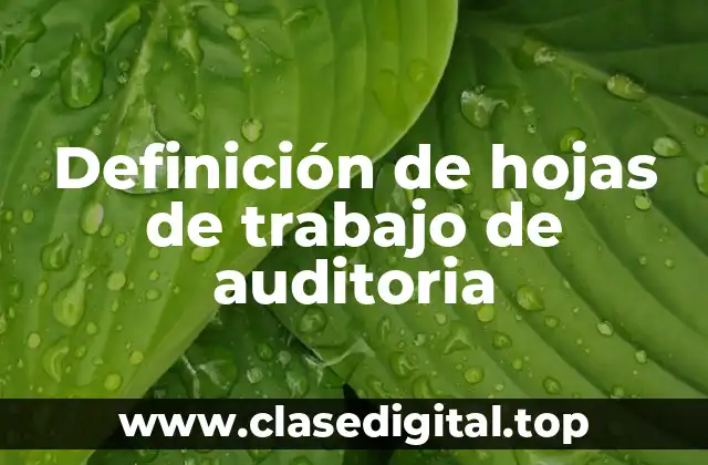 Definición de hojas de trabajo de auditoria