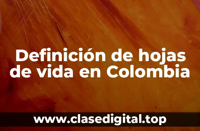 Ejemplos de hojas de vida en Colombia