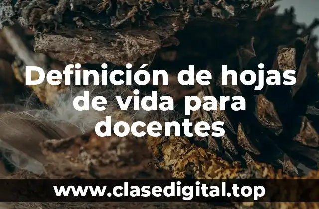 Ejemplos de hojas de vida para docentes