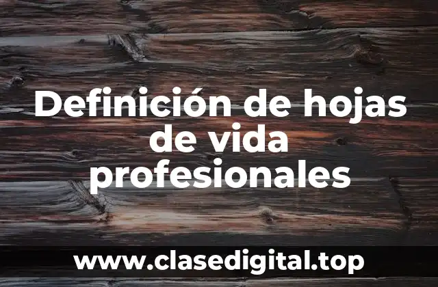 Definición de hojas de vida profesionales